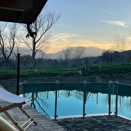 Colleolivi Apartment Serra de' Conti Bagian luar foto